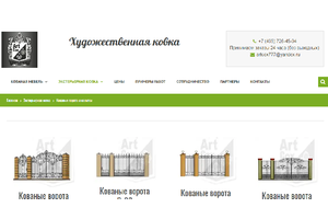 Пример 3 : Интернет магазина Аrtcox.ru