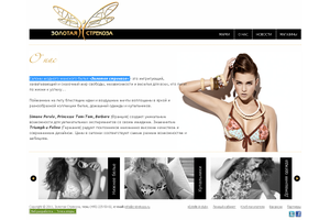 Пример 3 : Сайт сети «Золотая стрекоза»